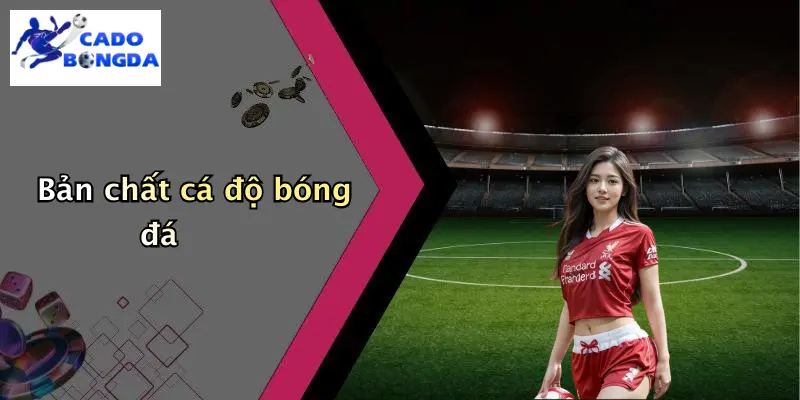Mẹo Thắng Nhà Cái Trong Cá Độ: Bí Kíp Bóng Đá An Toàn 1 Bản chất cá độ bóng đá