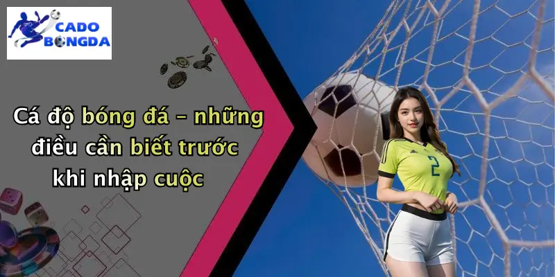 Trực tiếp bóng đá 2 Cá độ bóng đá – những điều cần biết trước khi nhập cuộc