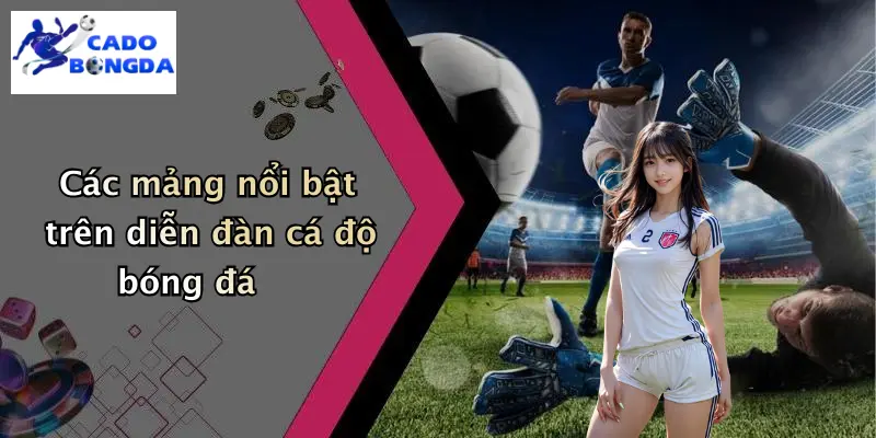 Giới thiệu 2 Các mảng nổi bật trên diễn đàn cá độ bóng đá