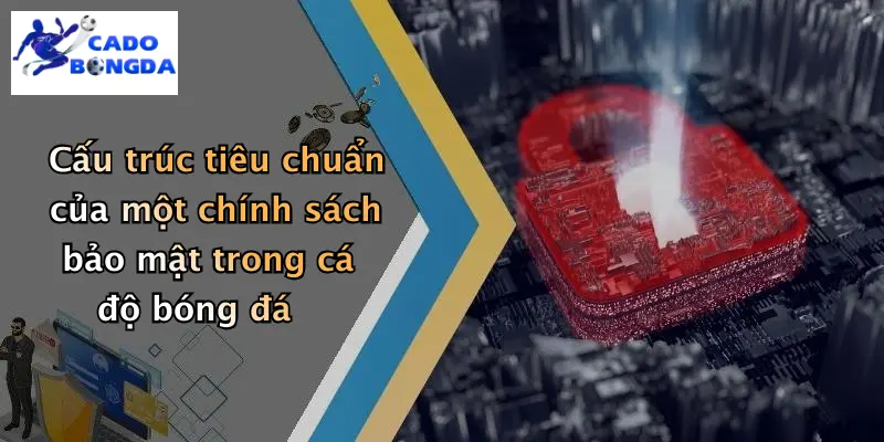Cấu trúc tiêu chuẩn của một chính sách bảo mật trong cá độ bóng đá