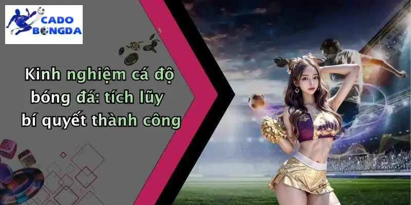 Kinh nghiệm cá độ bóng đá: tích lũy bí quyết thành công