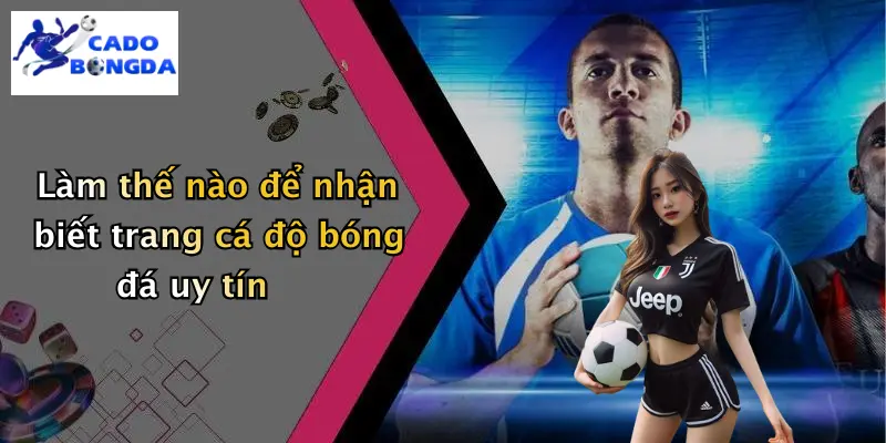 Cá Độ Bóng Đá