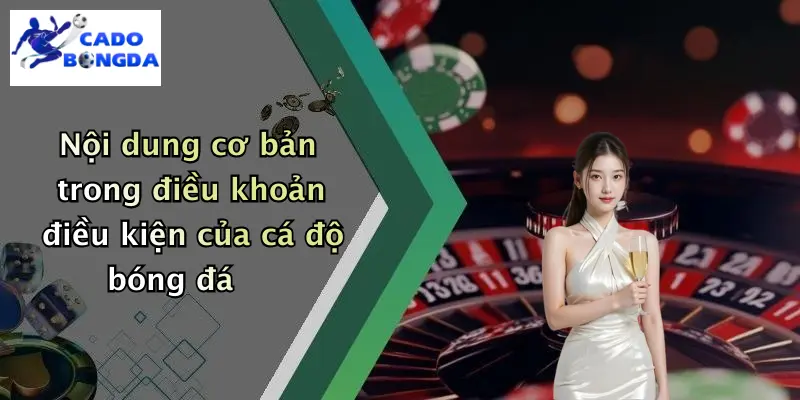 điều khoản điều kiện 2 Nội dung cơ bản trong điều khoản điều kiện của cá độ bóng đá