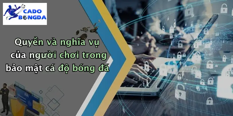 Quyền và nghĩa vụ của người chơi trong bảo mật cá độ bóng đá