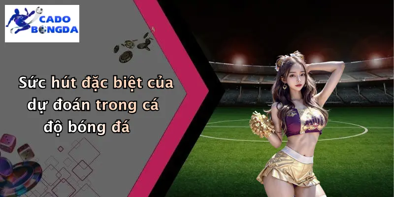 Sức hút đặc biệt của dự đoán trong cá độ bóng đá