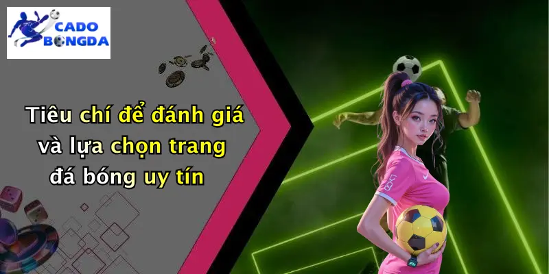 Cá Độ Bóng Đá