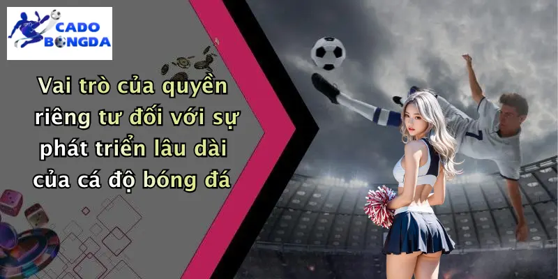 quyền riêng tư 4 Vai trò của quyền riêng tư đối với sự phát triển lâu dài của cá độ bóng đá