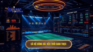 Cách đọc kèo bóng đá theo thời gian thực