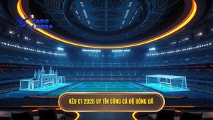 Soi kèo các trận đấu cúp C1 châu Âu 2025