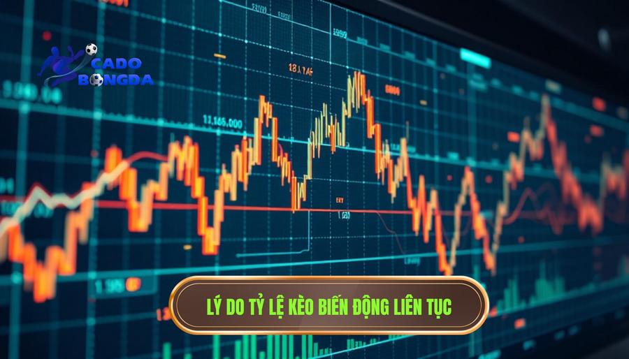 Kèo đang xoay theo nhịp trận: Bí kíp đọc vị nhà cái tại CÁ ĐỘ BÓNG ĐÁ 2 2. Tại sao tỷ lệ kèo lại biến động liên tục?