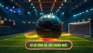 Kèo đang xoay theo nhịp trận
