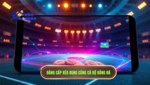 Kèo live bắt đầu rung mạnh