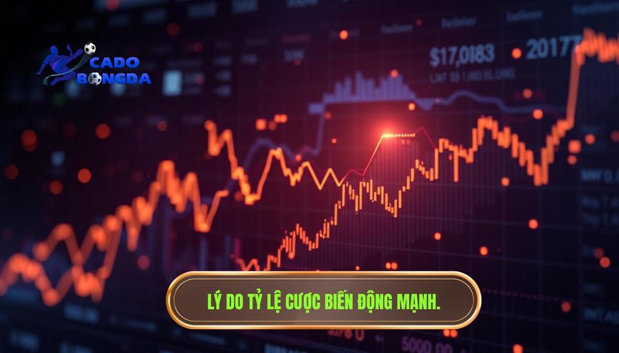 Lý do tỷ lệ cược biến động mạnh
