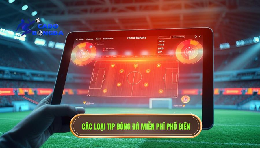 Tip bóng đá miễn phí – Nghệ thuật soi kèo và chiến thuật về bờ an toàn 3 Các loại tip bóng đá miễn phí phổ biến